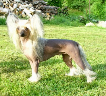 Gerda