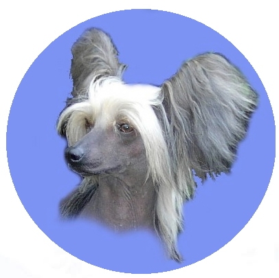 Pyn Cris