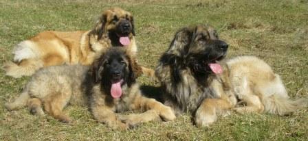 Doris, Kayra and  Endy
